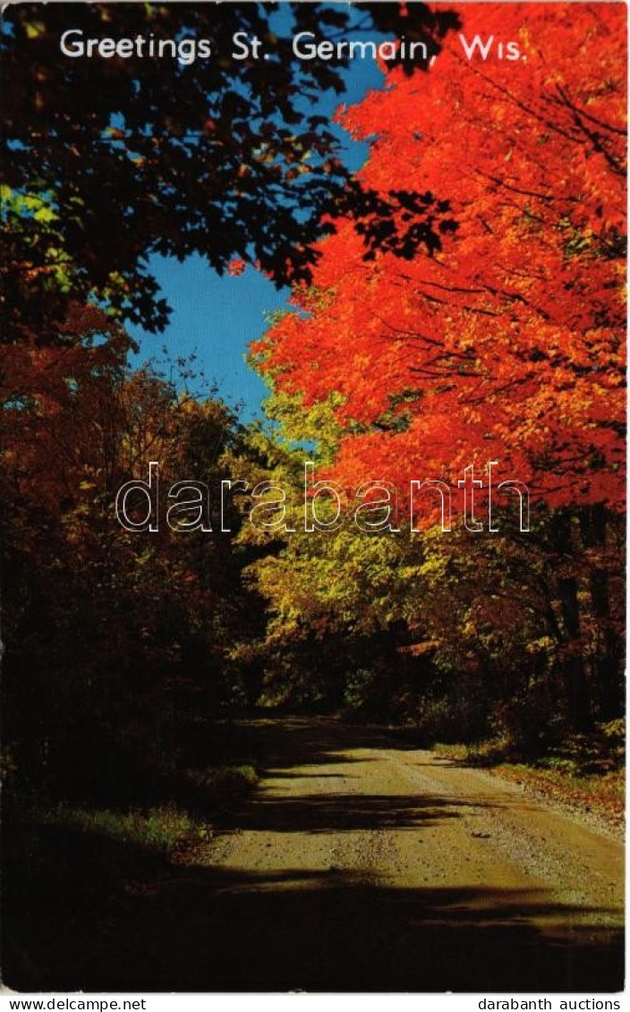 T1/T2 1967 St. Germain (Wisconsin), Autumn Glory, Photo - Unclassified