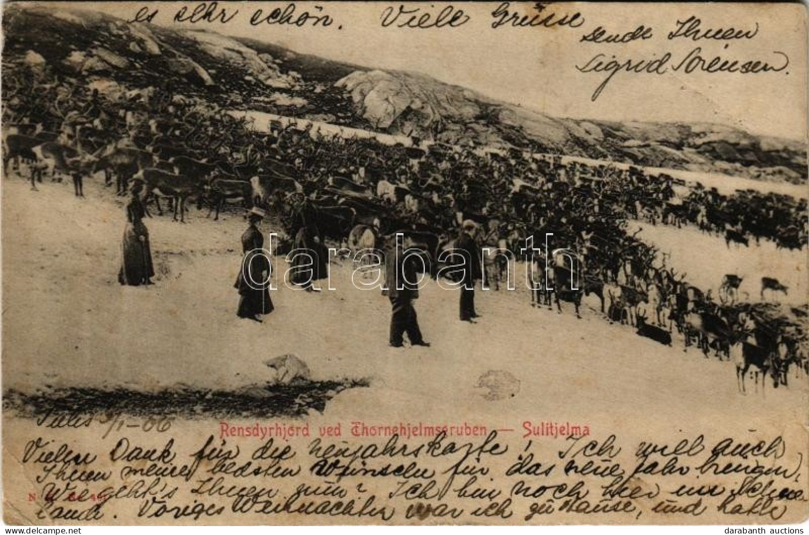 T3 1906 Sulitjelma, Rensdyrhjord Ved Thornehjelmsgruben / Reindeer, Winter (EB) - Ohne Zuordnung