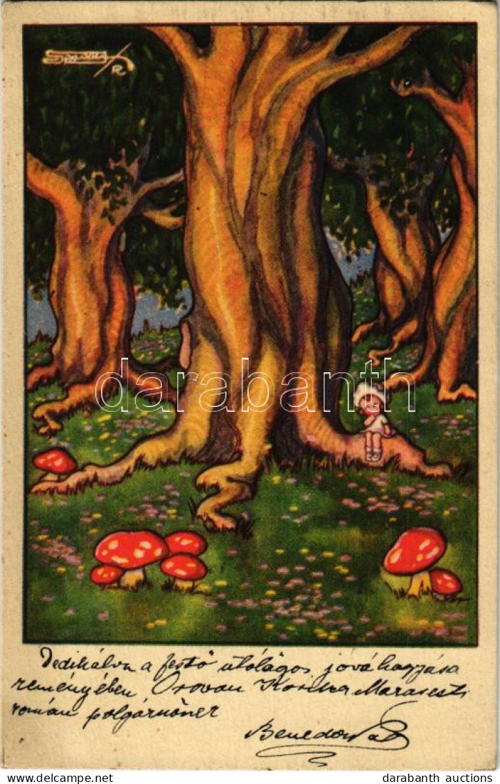 T2/T3 1923 Mérges Gombák. Olasz Művészlap / Italian Art Postcard With Mushrooms. 1777-2. Artist Signed - Ohne Zuordnung