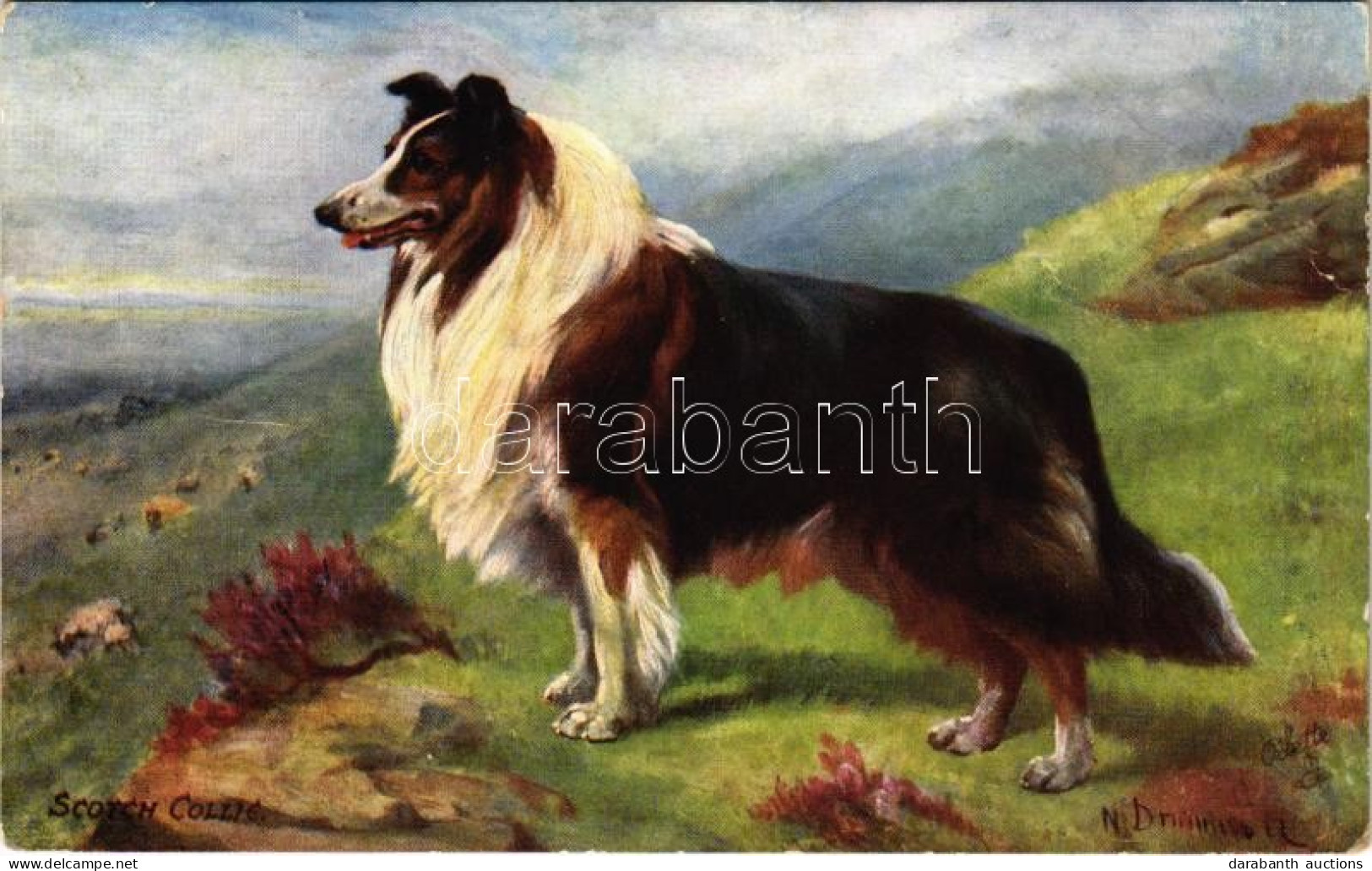 ** T3 Scotch Collie. Raphael Tuck & Sons' "Oilette" Postcard 9560. "Scotch Collies", Artist Signed (EB) - Unclassified