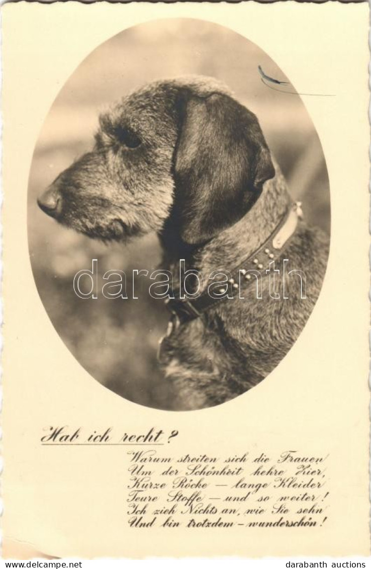 ** T2/T3 Hab Ich Recht? / Dog, Photo (EK) - Unclassified