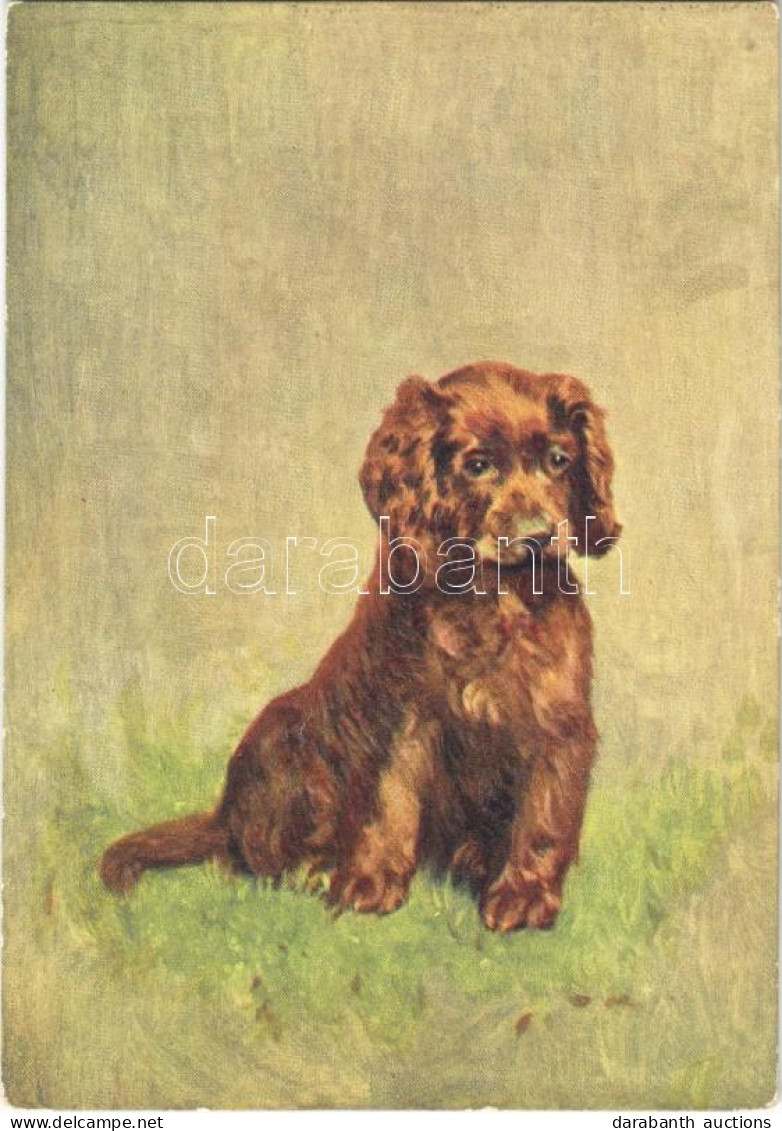 ** T1/T2 Sussex Spaniel, Dog Art Postcard, Minicard (8,8 Cm X 12,7 Cm) Emb. - Non Classés