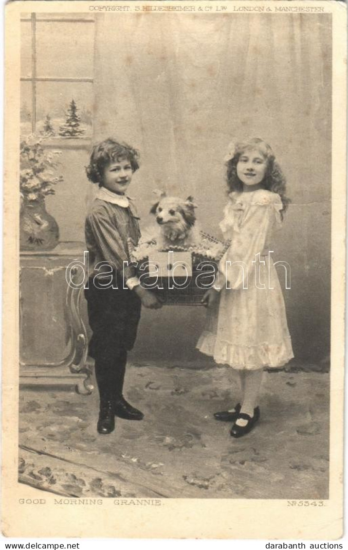 T3 1907 Good Morning Grannie, Children With Dog (fa) - Unclassified