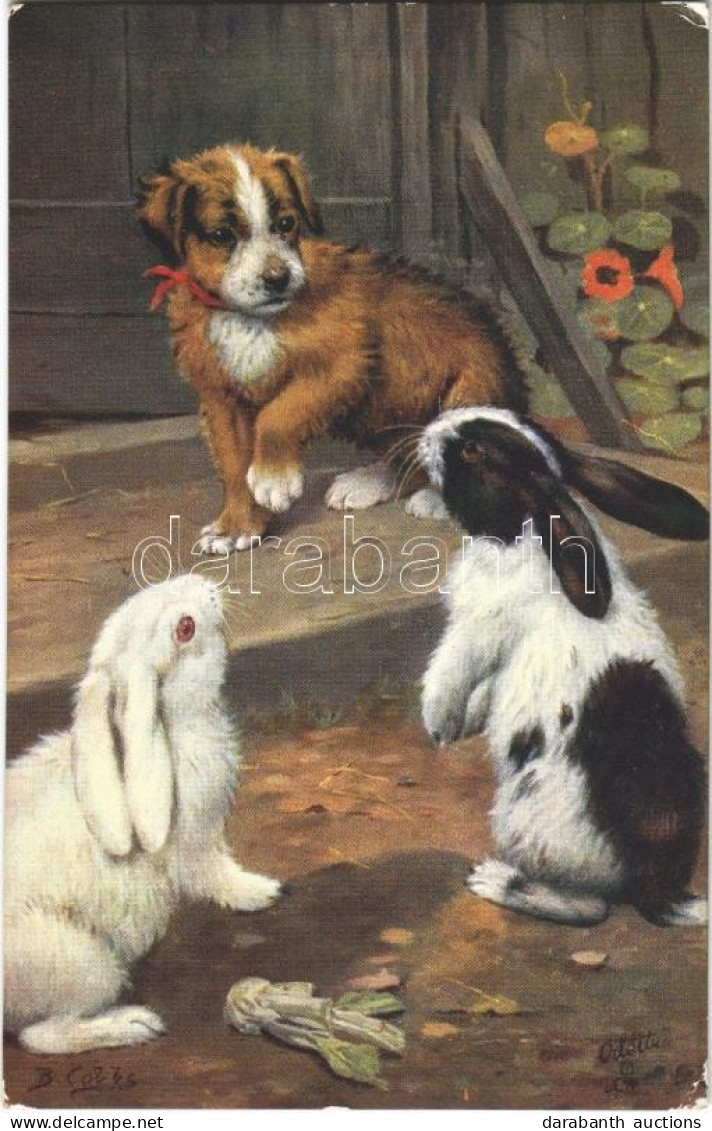 T2/T3 1916 "Among The Bunnies" Dog With Rabbits, Raphael Tuck & Sons "Oilette" No. 9539, S: B. Cobbs (EK) - Non Classés