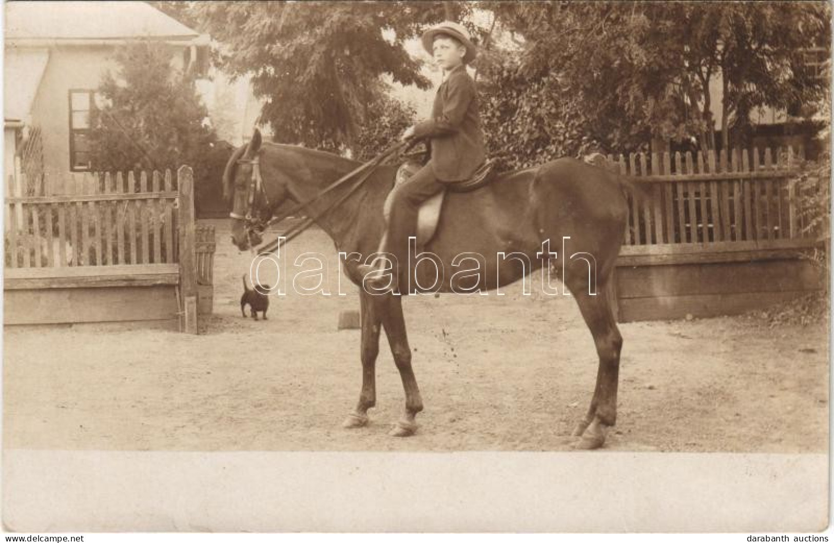 ** T2/T3 Hungarian Boy Riding A Horse. Photo (EK) - Sin Clasificación