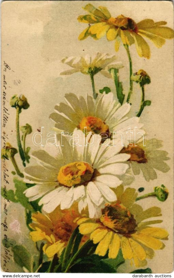 * T2/T3 1923 Flowers. G.O.M. 2309. (EK) - Non Classificati