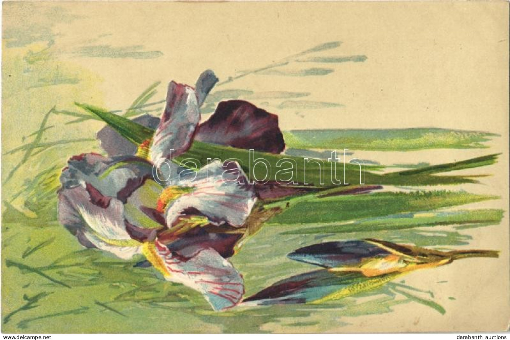 T2/T3 1909 Flowers. No. 2099. Glatt / No. 1885. Relief. Emb. Litho - Unclassified