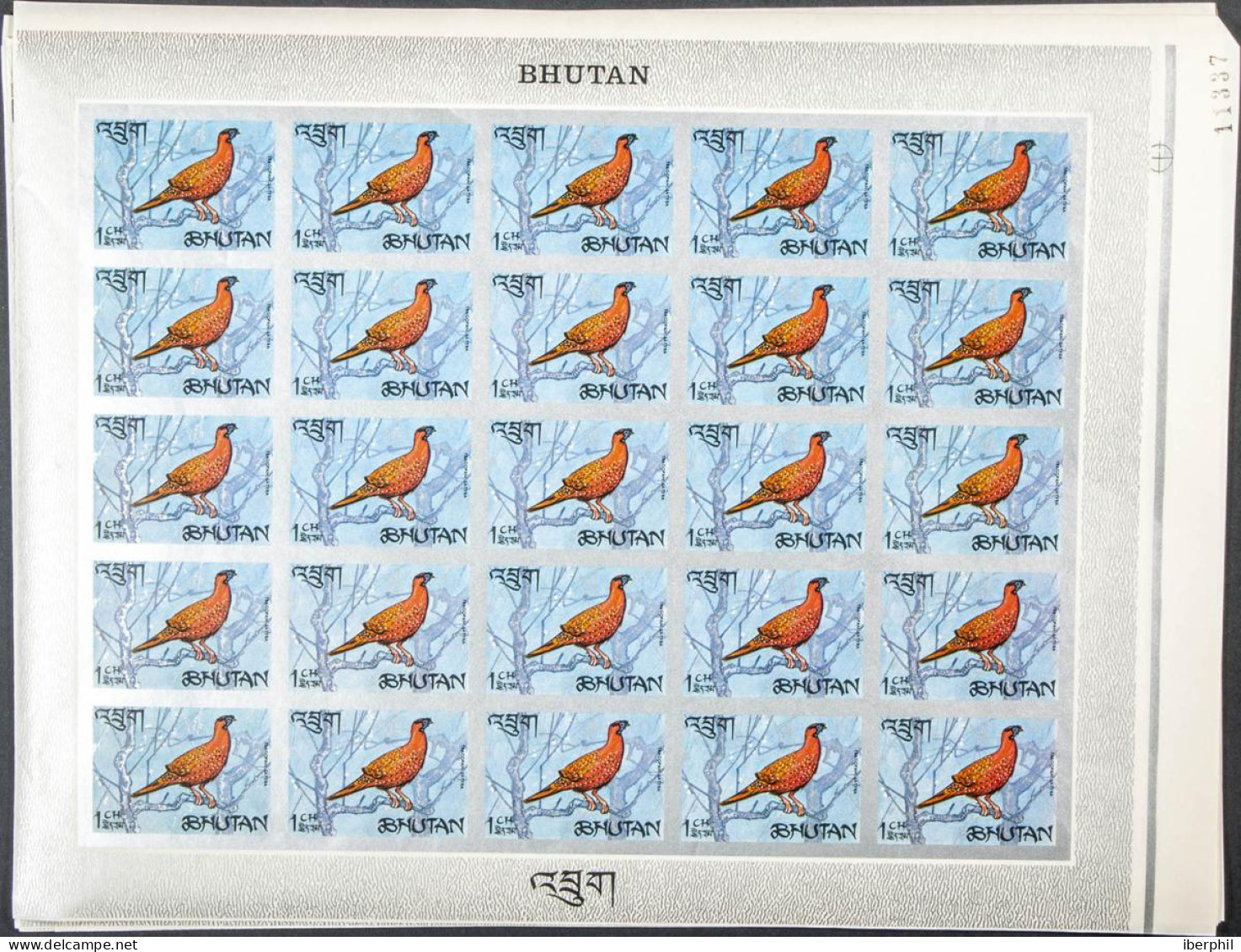 Bhutan - Bhoutan