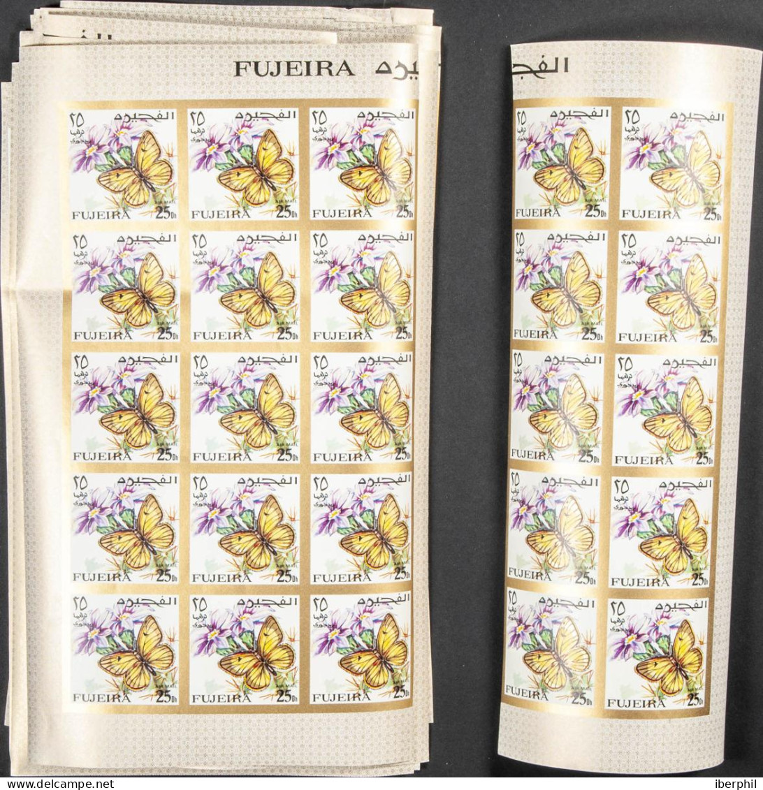 Southeast Arabia Fujeira - Fujeira