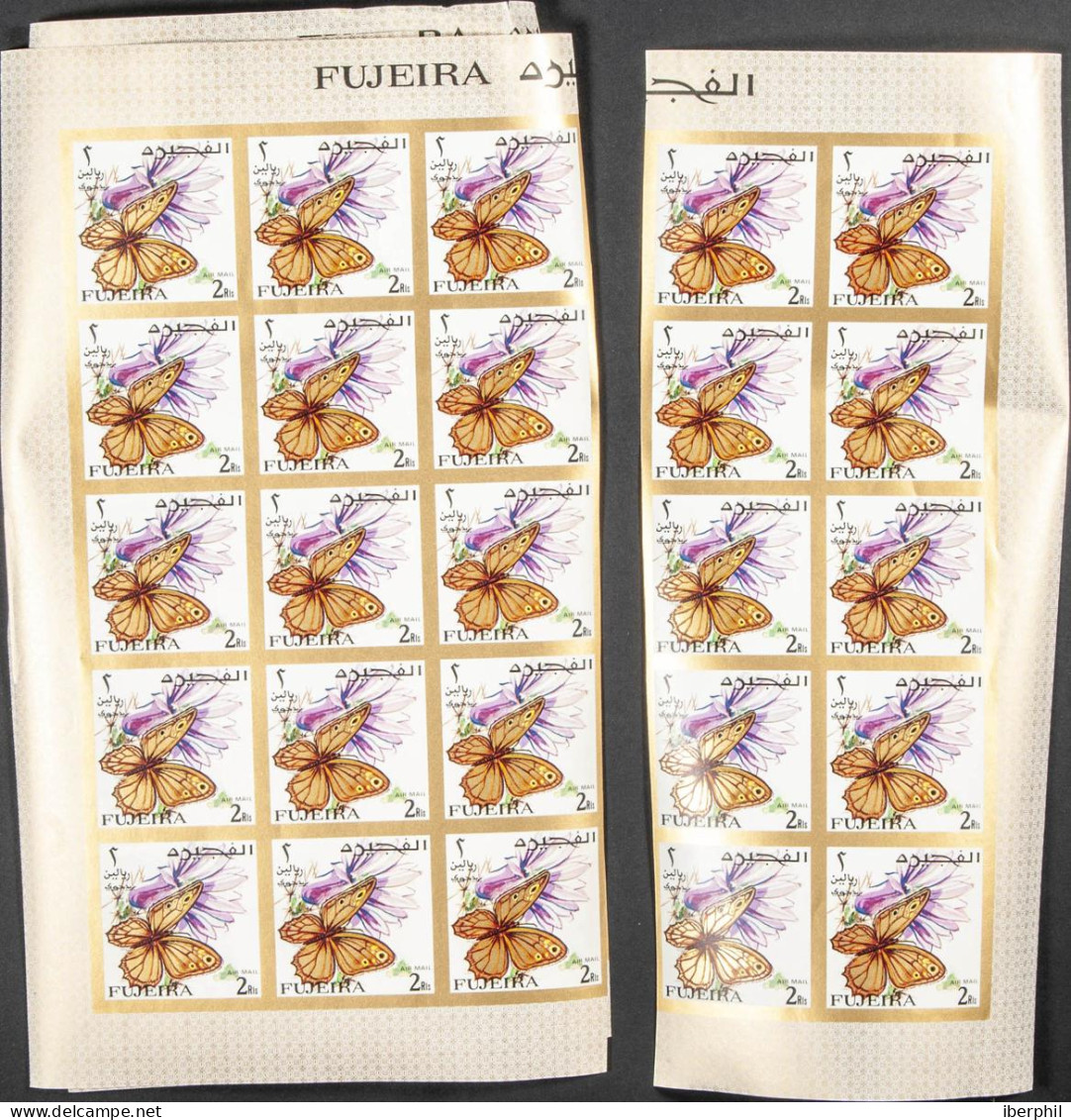 Southeast Arabia Fujeira