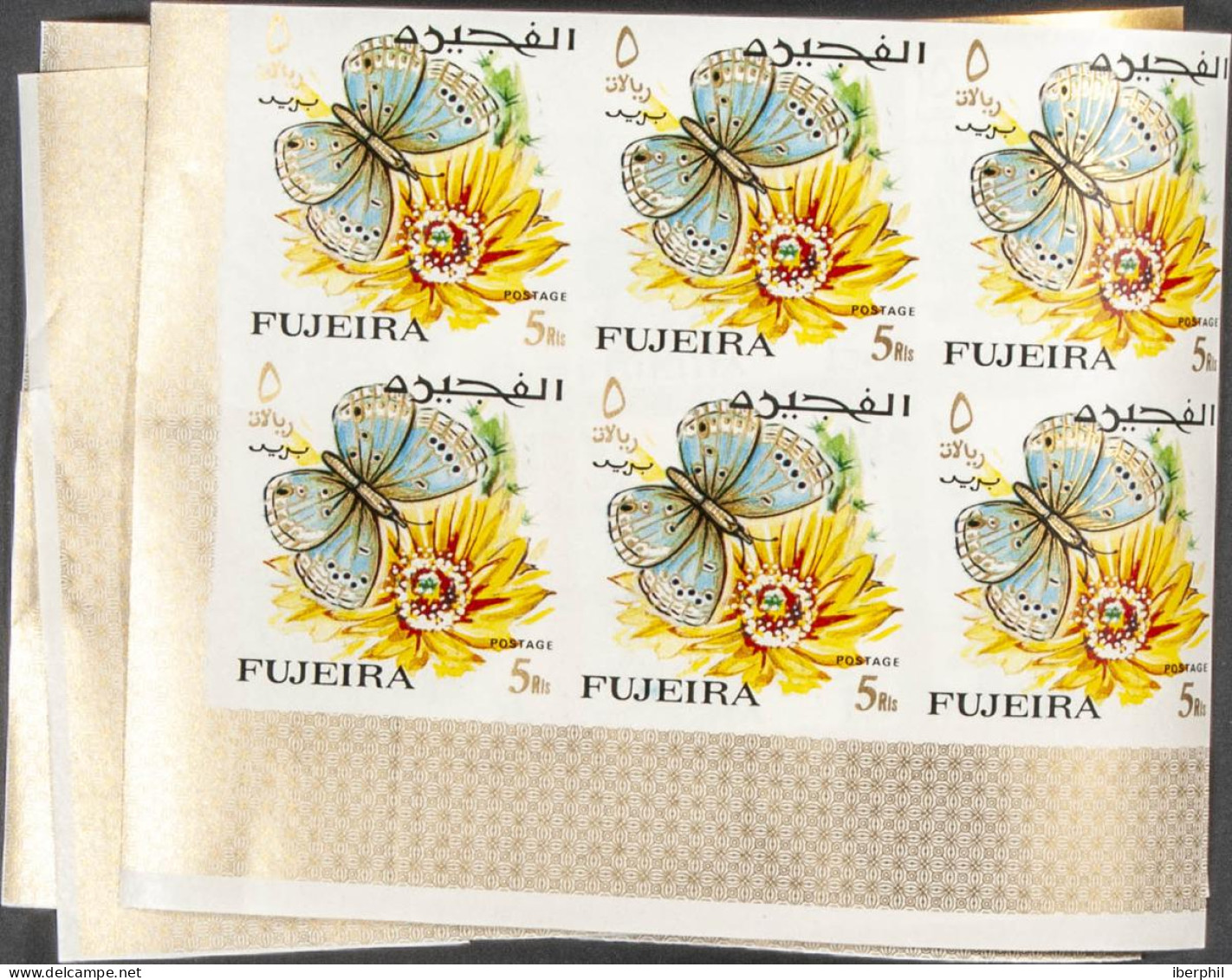 Southeast Arabia Fujeira