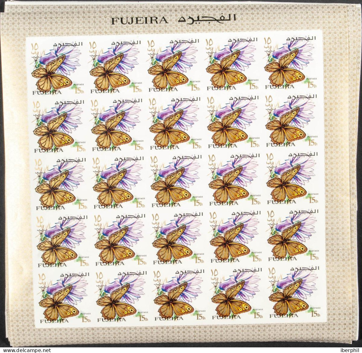 Southeast Arabia Fujeira