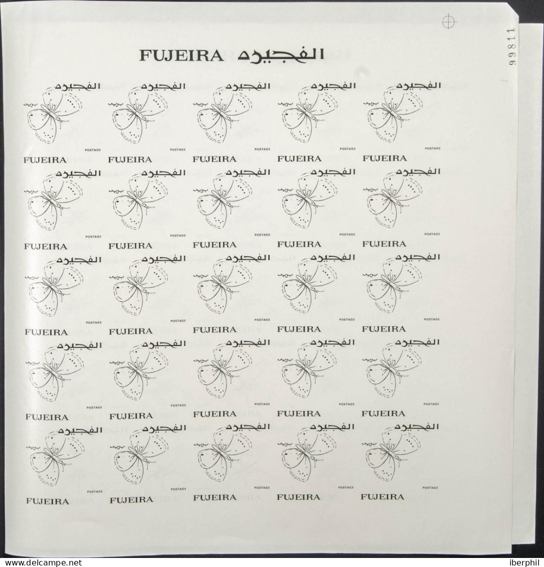 Southeast Arabia Fujeira