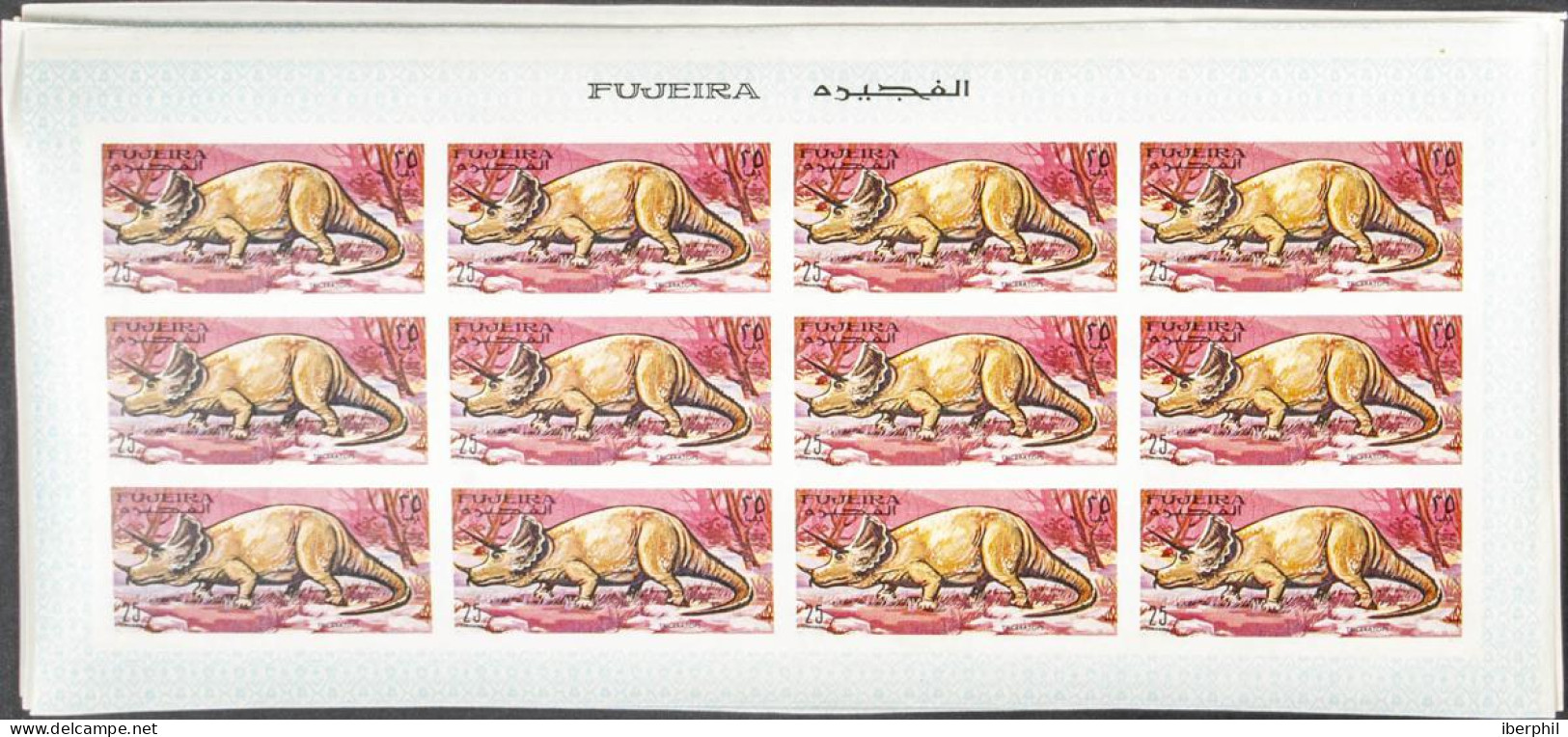 Southeast Arabia Fujeira - Fujeira