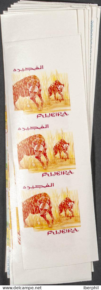 Southeast Arabia Fujeira - Fudschaira