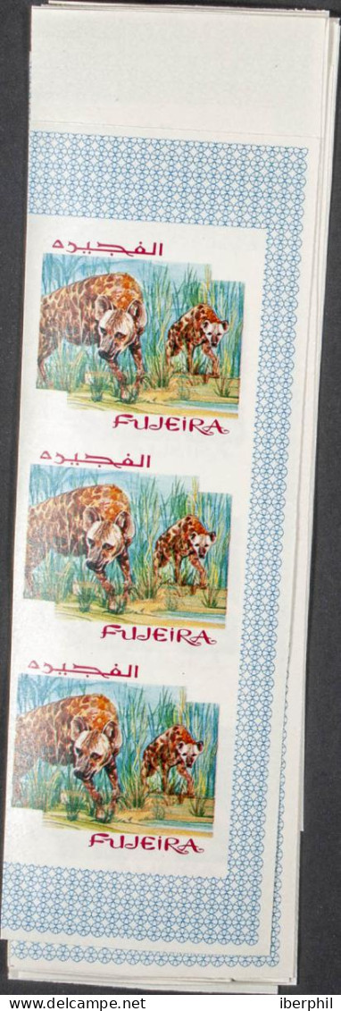 Southeast Arabia Fujeira - Fujeira