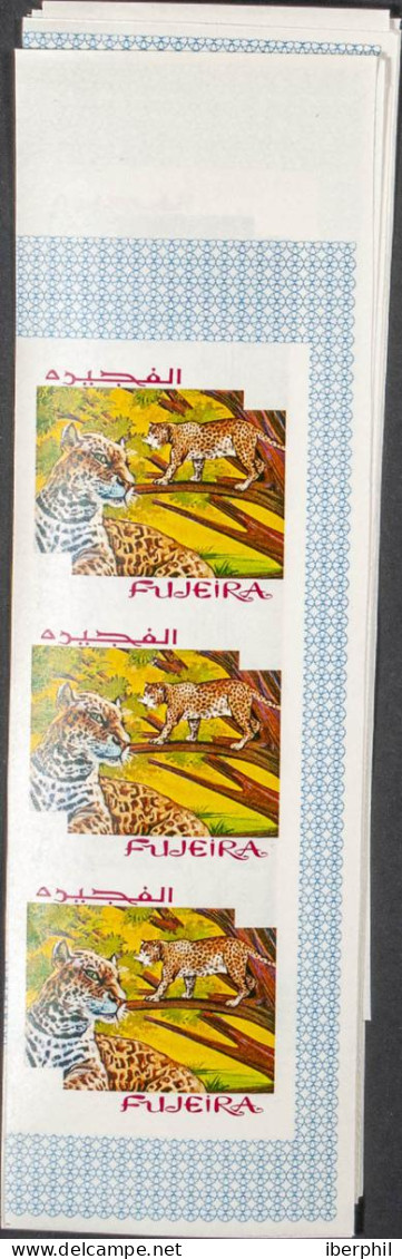 Southeast Arabia Fujeira