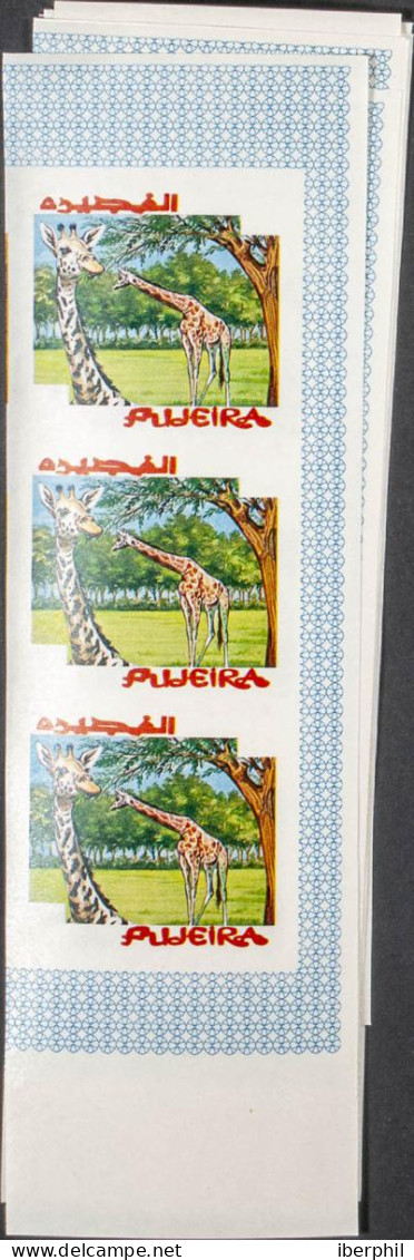 Southeast Arabia Fujeira