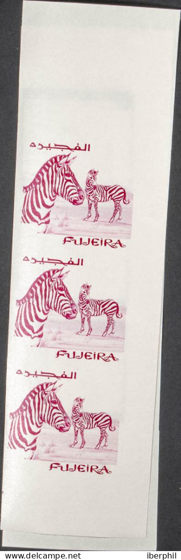 Southeast Arabia Fujeira