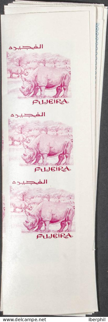 Southeast Arabia Fujeira