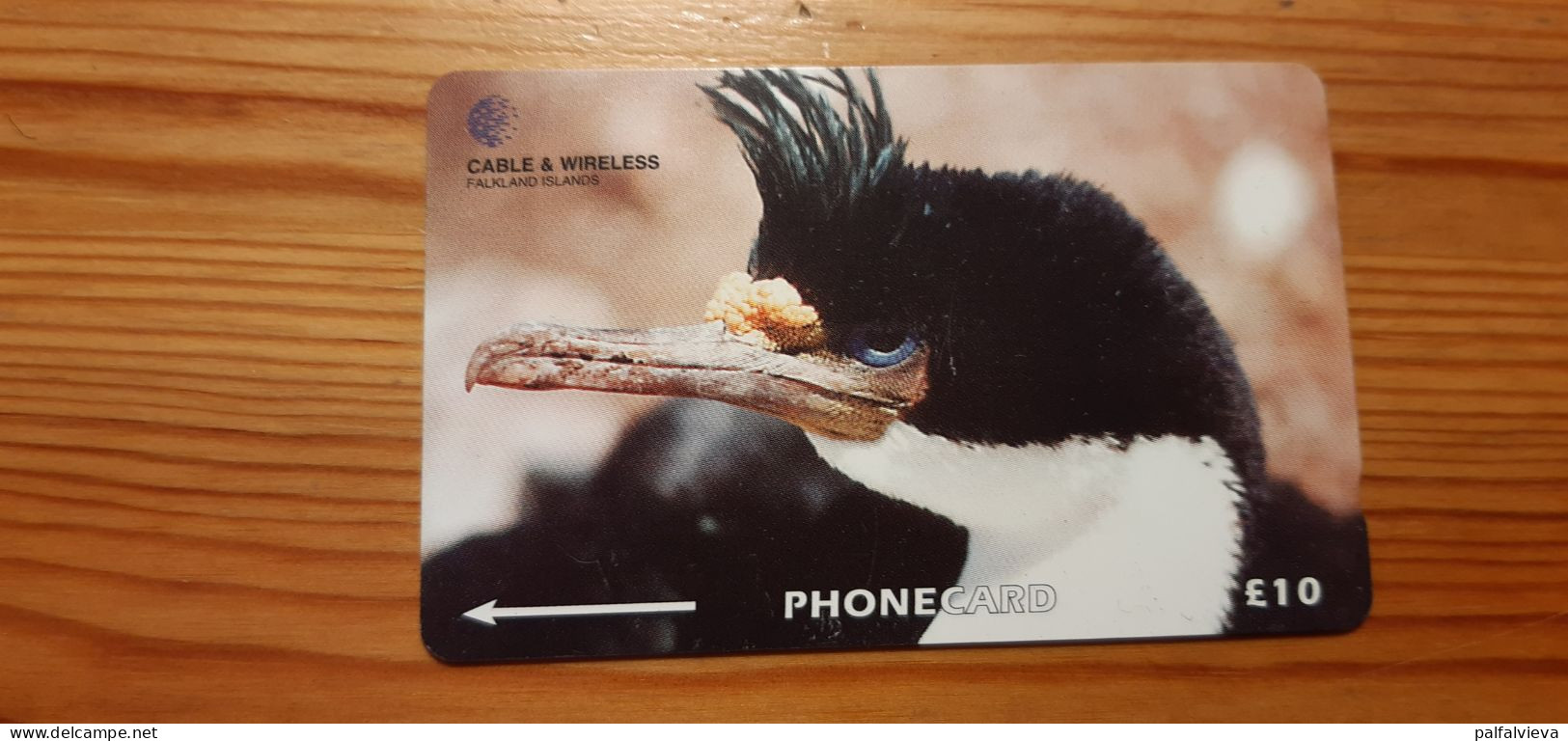 Phonecard Falkland Islands 229CFKA - Bird, King Cormorant - Falkland