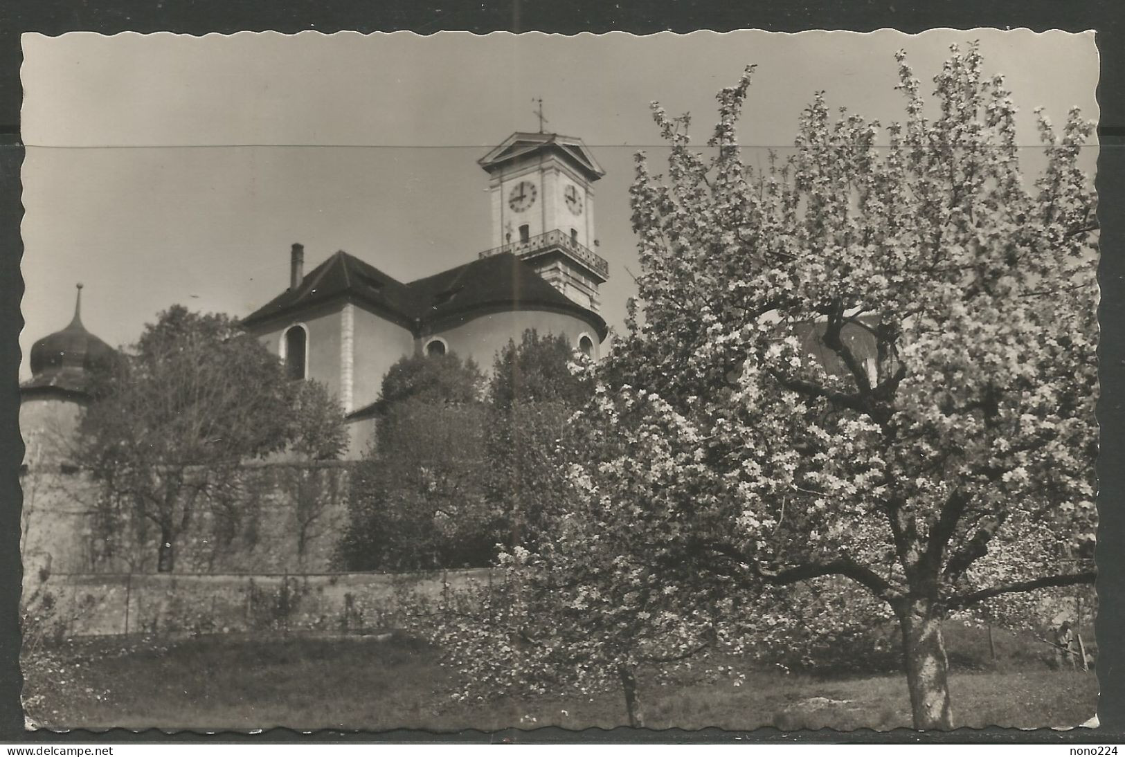 Carte P De 1955 ( Delémont / L'Eglise Catholique ) - Delémont