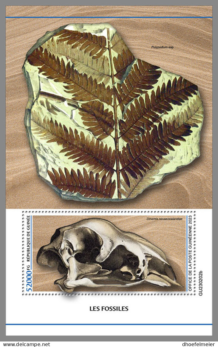 GUINEA REP. 2023 MNH Fossils Fossilien Fossiles S/S - OFFICIAL ISSUE - DHQ2339 - Fósiles