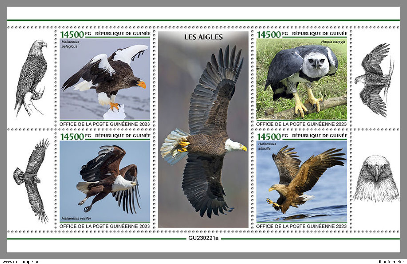 GUINEA REP. 2023 MNH Eagles Adler Aigles M/S - OFFICIAL ISSUE - DHQ2339 - Aigles & Rapaces Diurnes