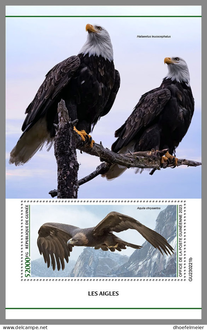 GUINEA REP. 2023 MNH Eagles Adler Aigles S/S - OFFICIAL ISSUE - DHQ2339 - Aigles & Rapaces Diurnes