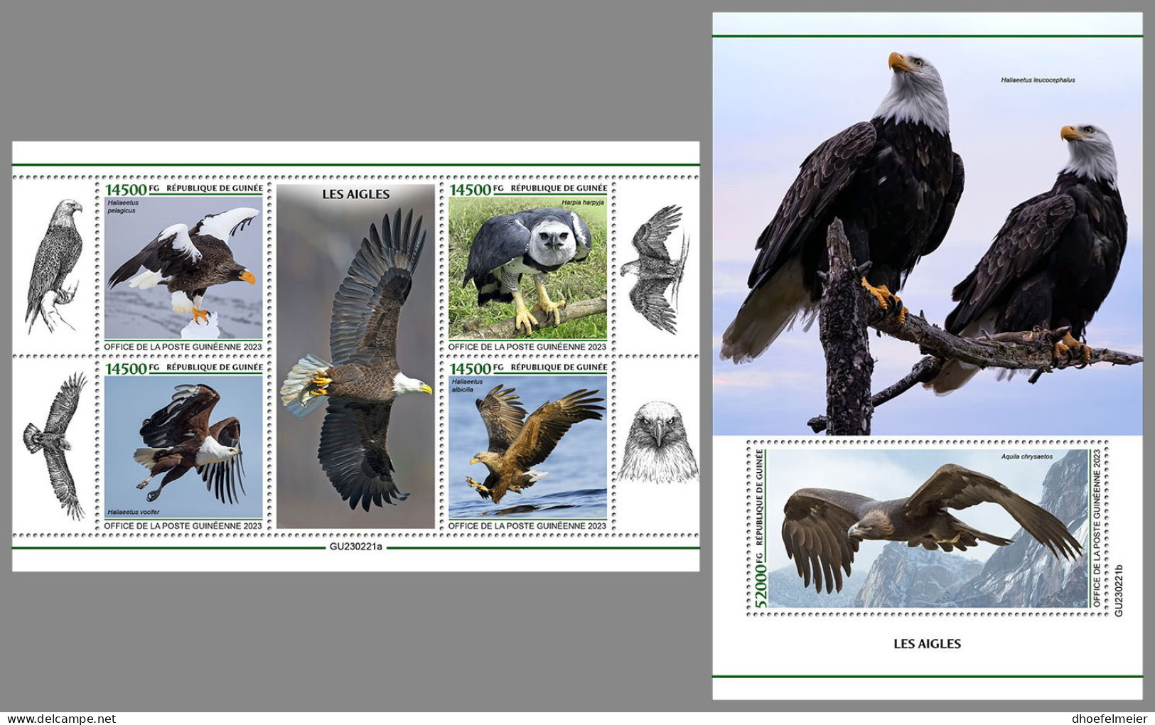 GUINEA REP. 2023 MNH Eagles Adler Aigles M/S+S/S - OFFICIAL ISSUE - DHQ2339 - Aigles & Rapaces Diurnes