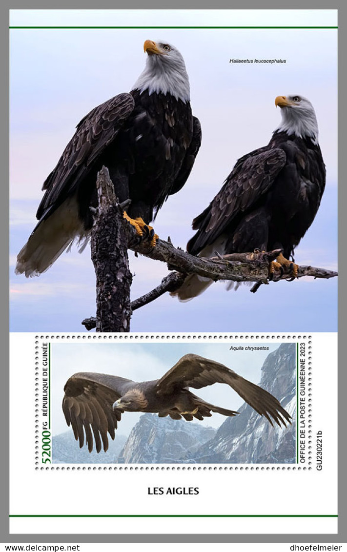 GUINEA REP. 2023 MNH Eagles Adler Aigles S/S - IMPERFORATED - DHQ2339 - Aigles & Rapaces Diurnes