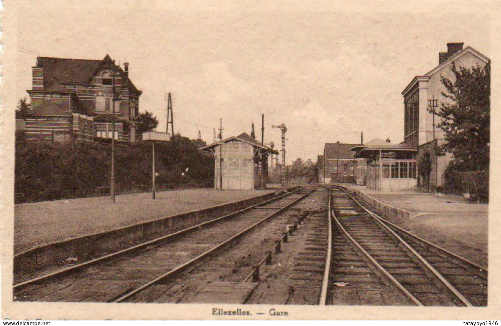 Ellezelles  Gare  Carte Festonnée N'a Pas Circulé - Ellezelles