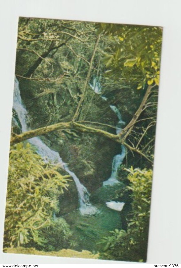 The Waterfall, Ty'ny Coed, Arthog -   Unused Postcard   - UK24 - Gwynedd