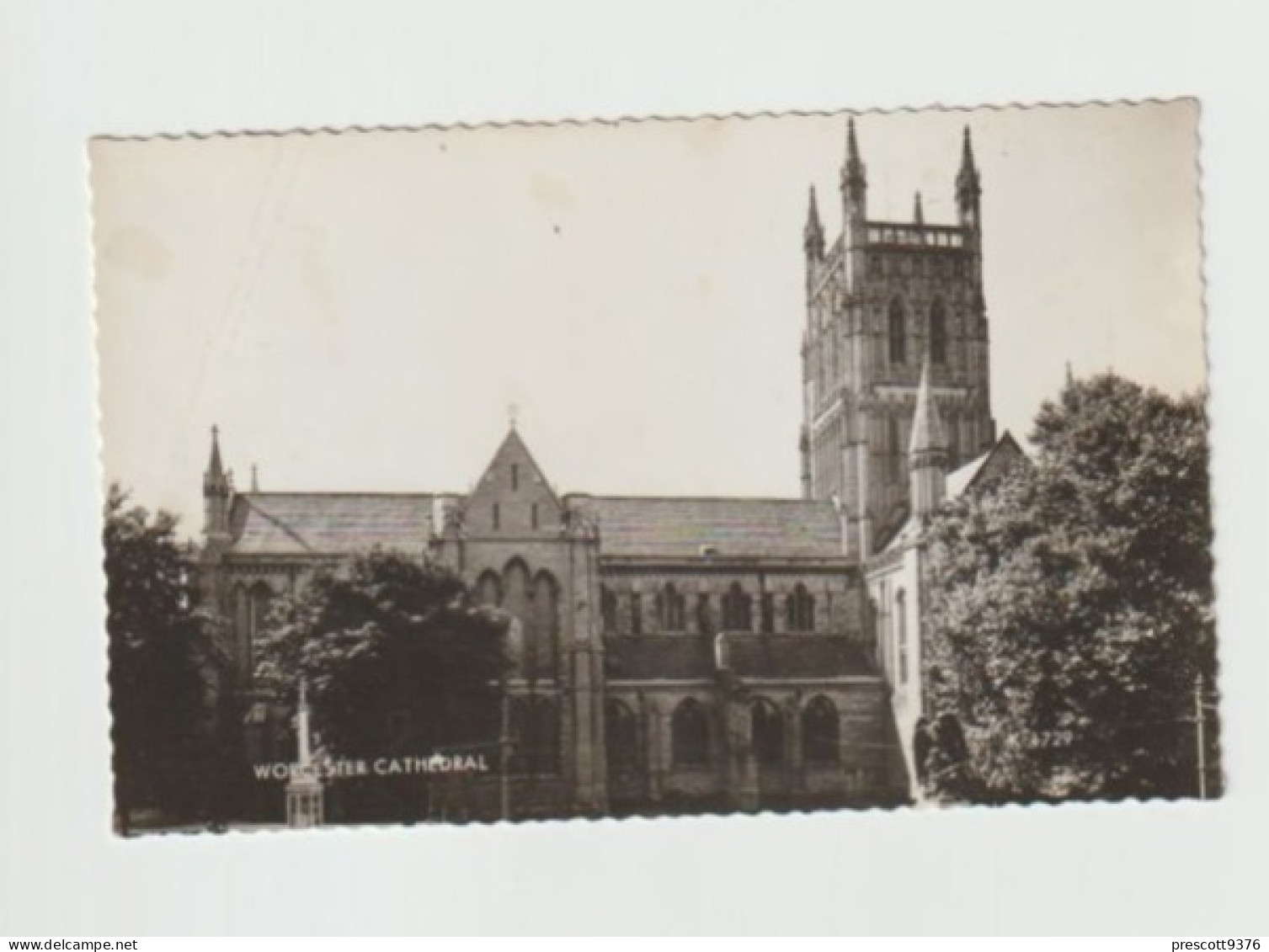 Worcester Cathedral-   Unused Postcard   - UK24 - Worcester