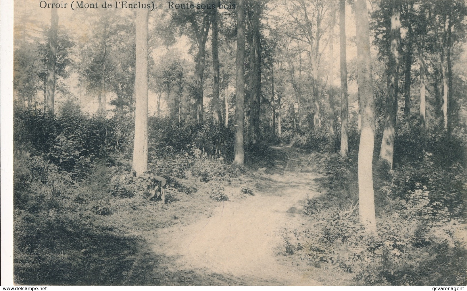 ORROIR  MONT DE L'ENCLUS  ROUTE SOUS BOIS                2 SCANS - Kluisbergen