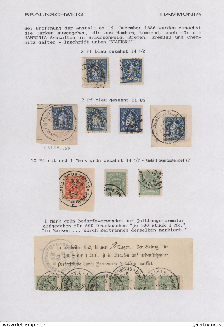 Deutsches Reich - Privatpost (Stadtpost): 1866/1895, BRAUNSCHWEIG, Saubere Samml - Postes Privées & Locales