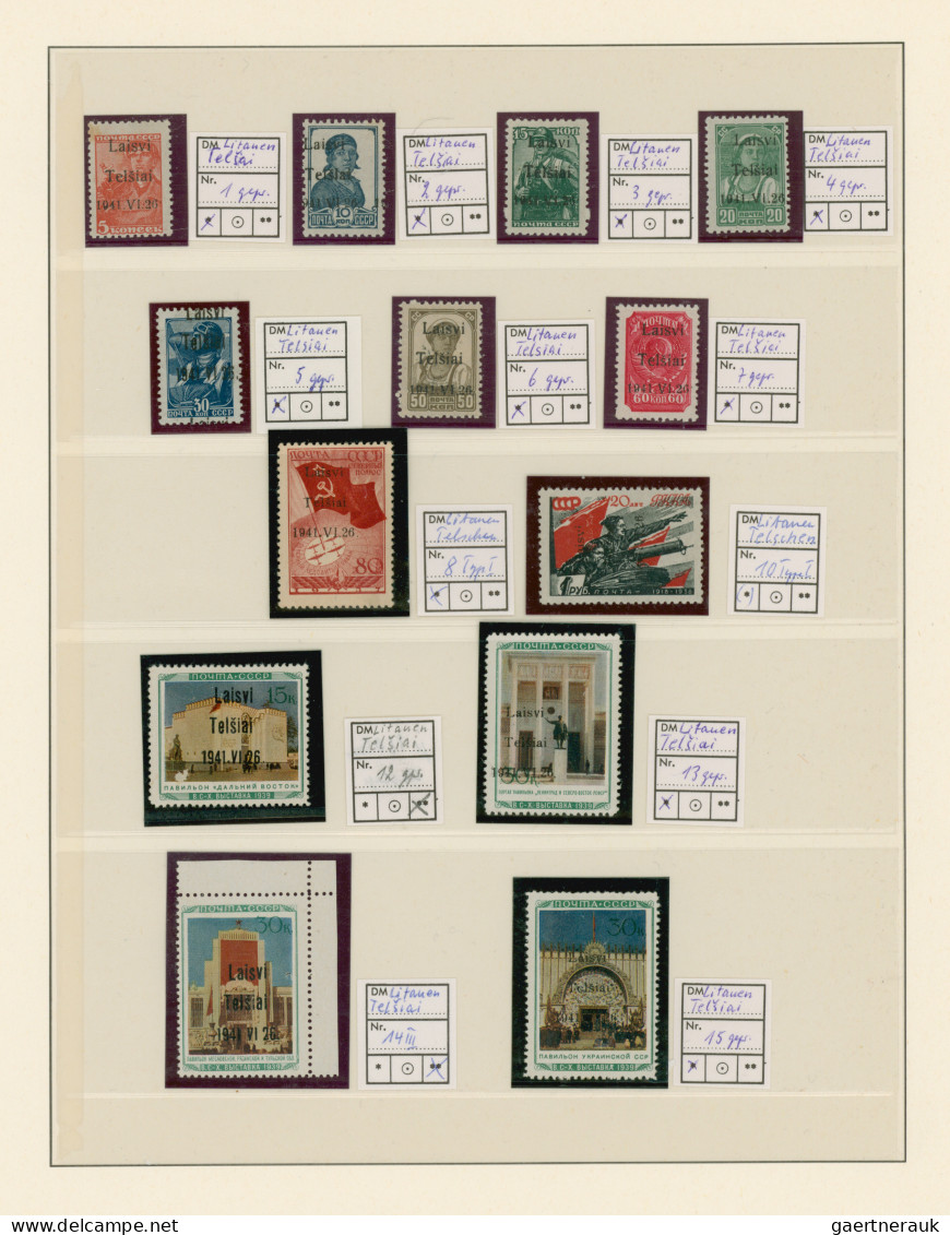 Dt. Besetzung II WK - Litauen - Telschen (Telsiai): 1941, Interessante Sammlung - Ocupación 1938 – 45