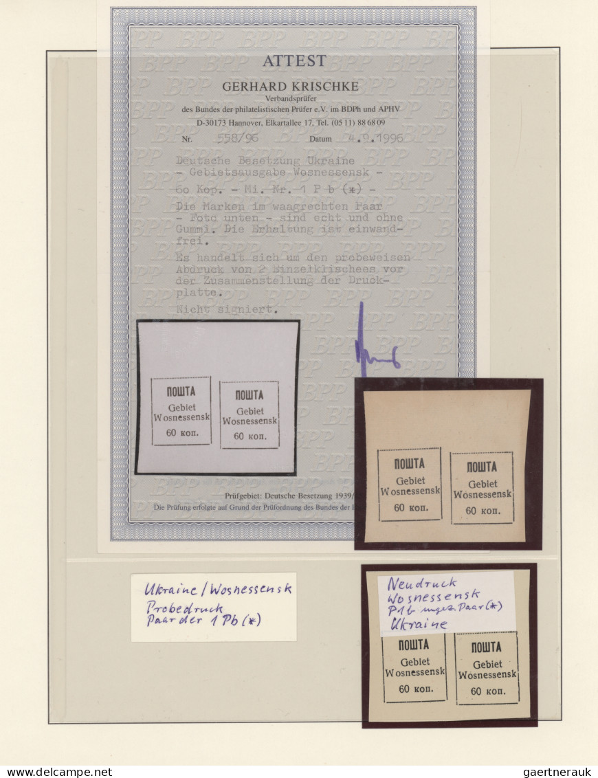 Dt. Besetzung II WK - Ukraine: 1941/1944, Ungebrauchte Und Gestempelte Sammlung - Ocupación 1938 – 45