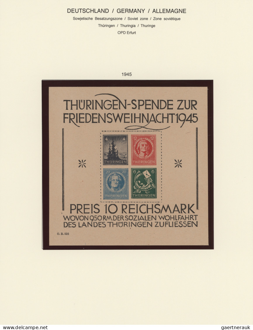 Deutschland Nach 1945: 1946/1949, Gemeinschaftsausgaben, Bizone, Französische Zo - Sammlungen