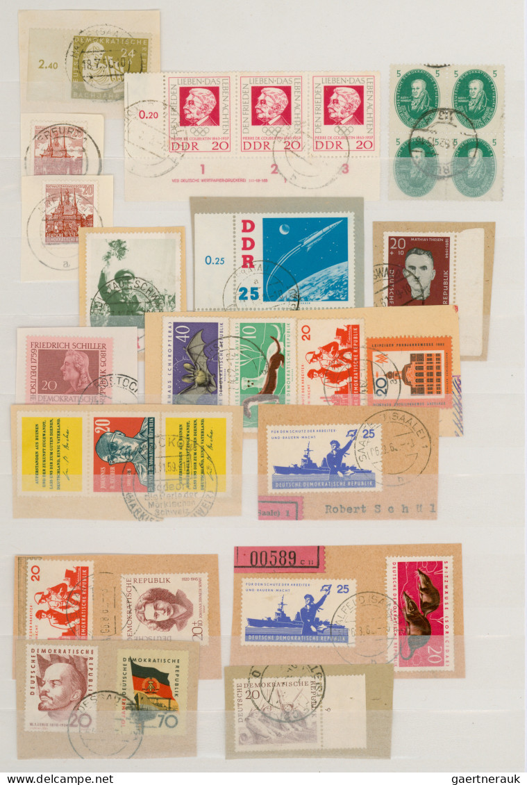 DDR: 1950/1963, Sammlungspartie Von Ca. 650 Marken Fast Ausschließlich Auf Brief - Verzamelingen