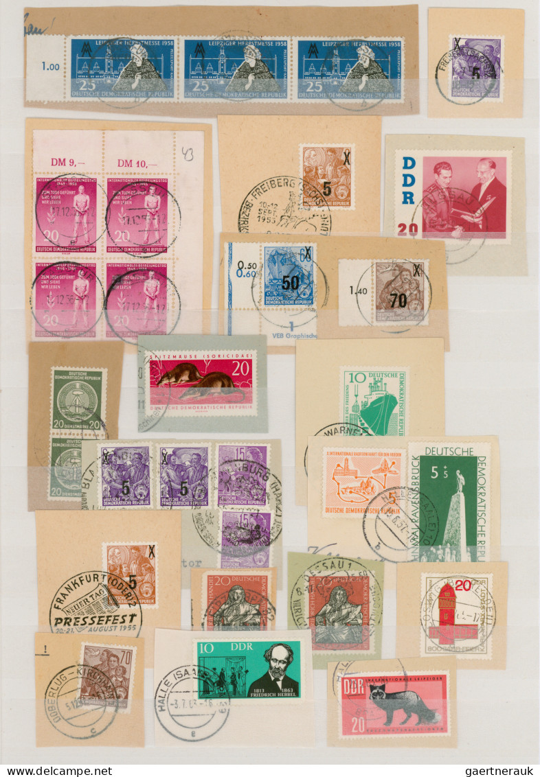 DDR: 1950/1963, Sammlungspartie Von Ca. 650 Marken Fast Ausschließlich Auf Brief - Colecciones