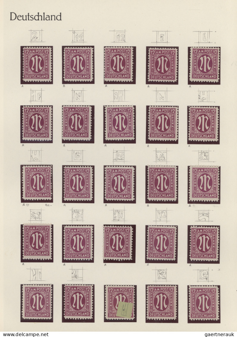 Bizone: 1945/1946, AM-POST, Spezial-Sammlung Von Fast 500 Einzelmarken Amerikani - Autres & Non Classés