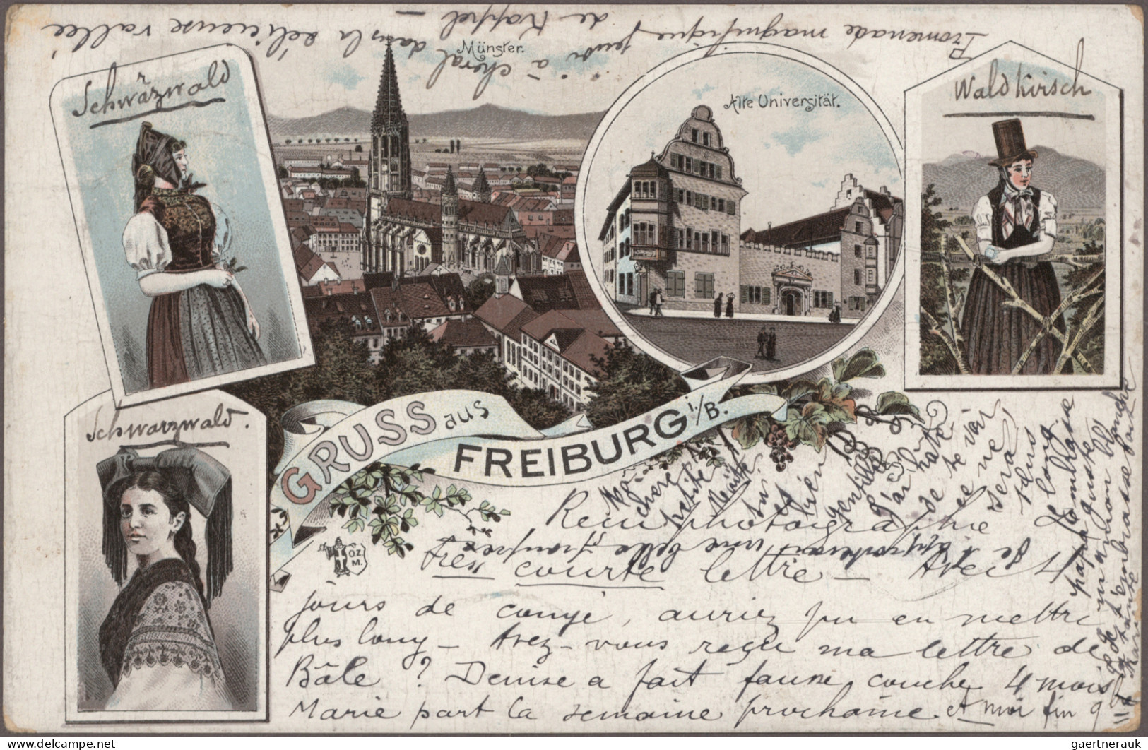 Ansichtskarten: Baden-Württemberg: SCHWARZWALD, Partie von ca. 60 alten Ansichts