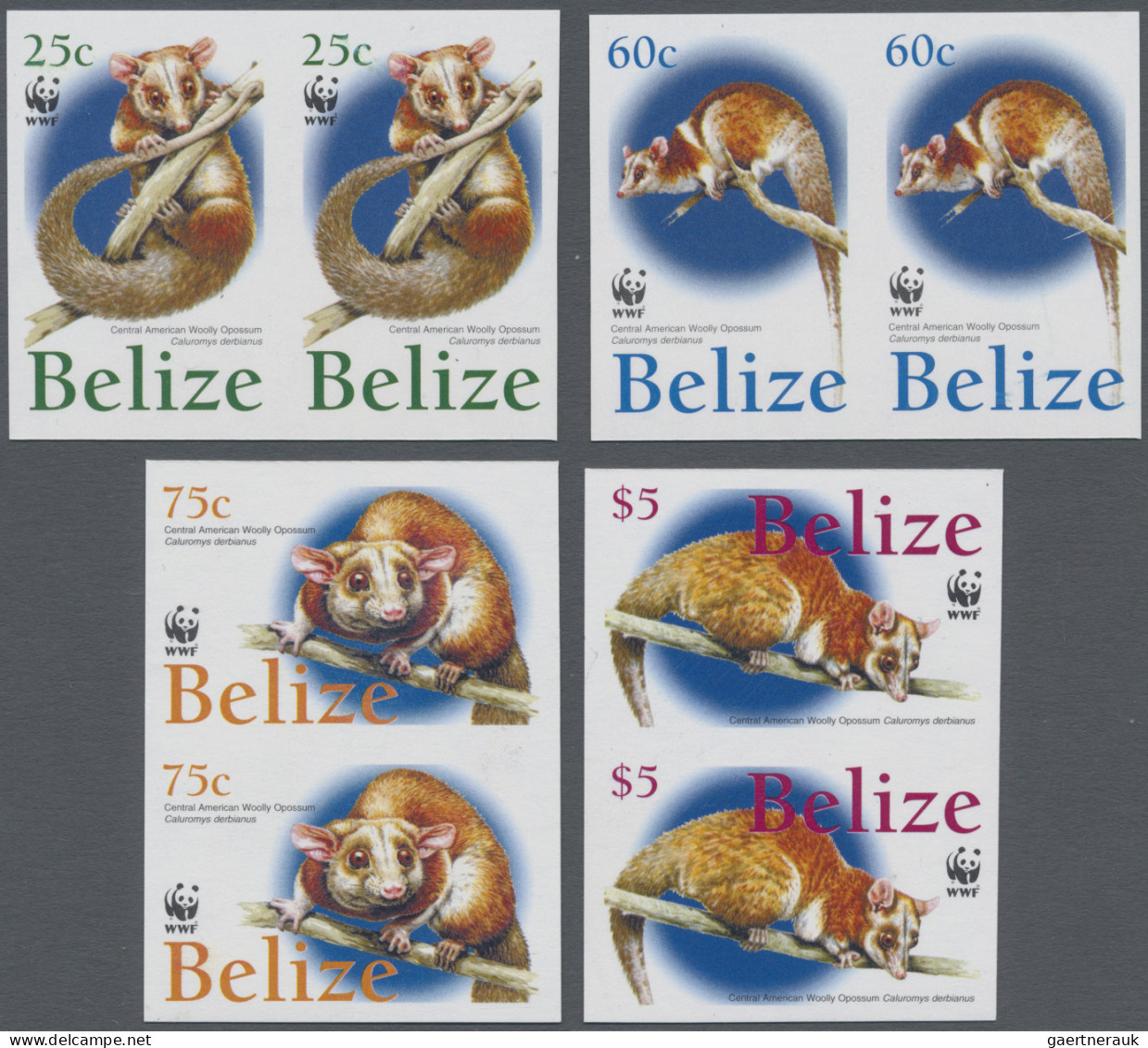 Belize: 1995/2015. Collection Containing 6720 IMPERFORATE Stamps Concerning Vari - Belize (1973-...)