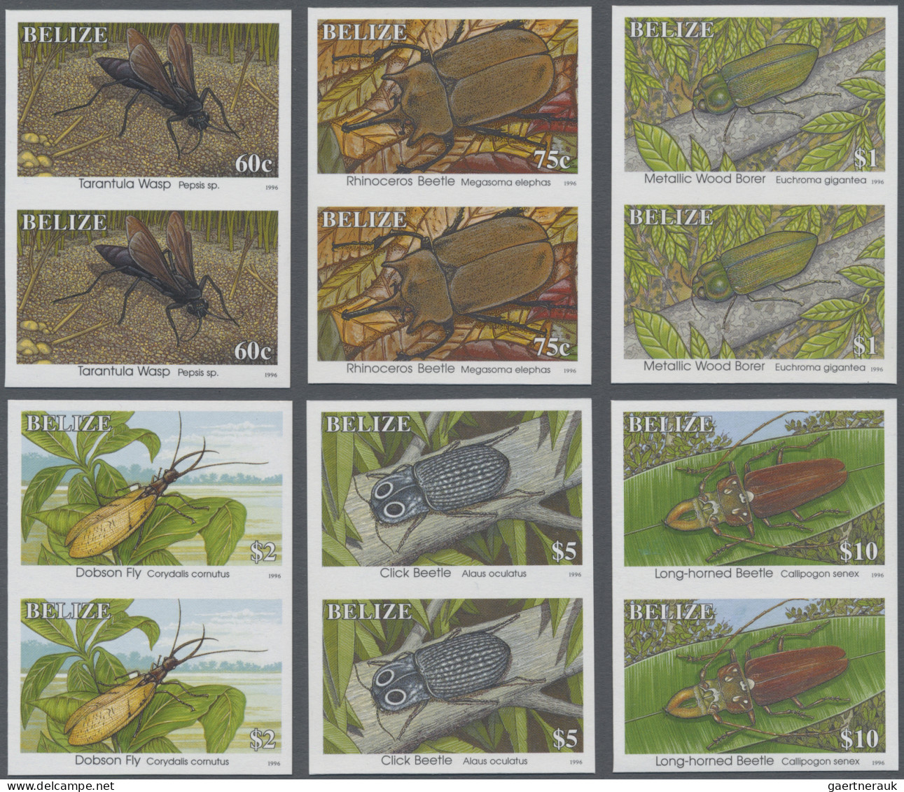 Belize: 1995/2015. Collection containing 6720 IMPERFORATE stamps concerning vari