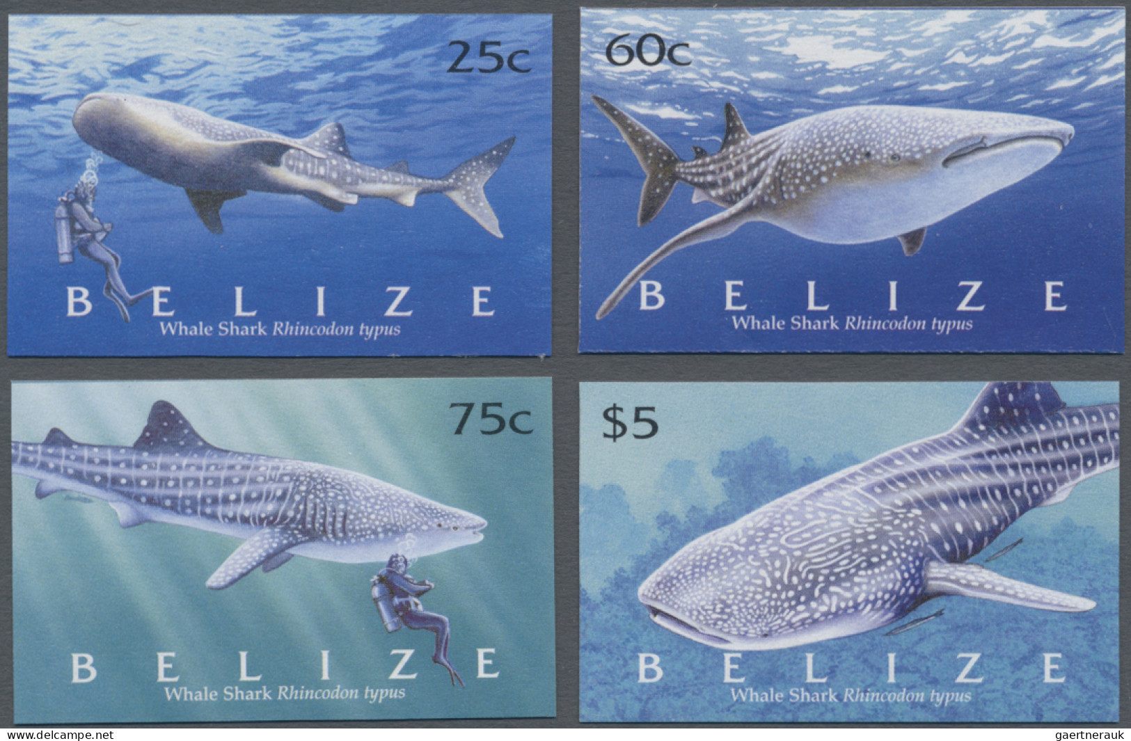 Belize: 1995/2015. Collection containing 6720 IMPERFORATE stamps concerning vari