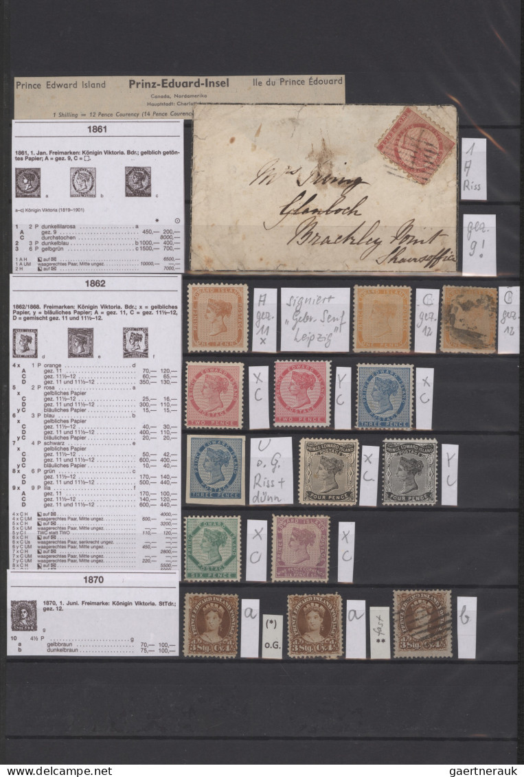 Canada: 1851/1900 Ca.: Collection Of About 500-600 Stamps From Canadian Colonies - Collections