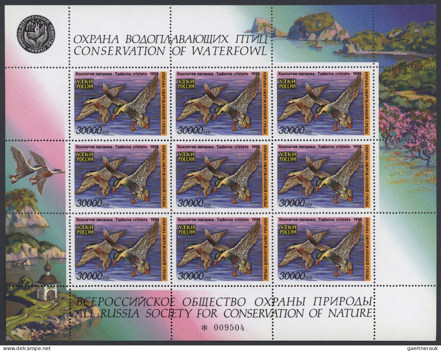 Russia: 1995, 30.000 R. Waterfowl Duck Stamps MNH, 305 Miniature Sheets With 9 S - Andere & Zonder Classificatie