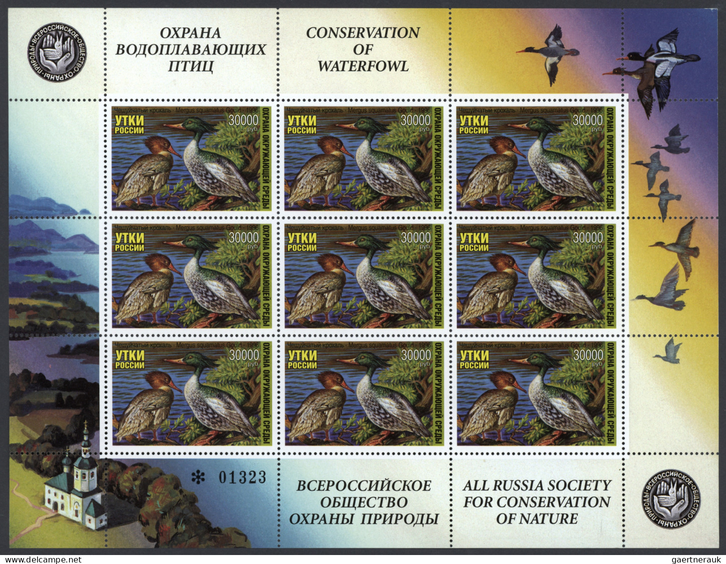 Russia: 1996, 30.000 R. Waterfowl Duck Stamp MNH, 167 Miniature Sheets With 9 St - Other & Unclassified