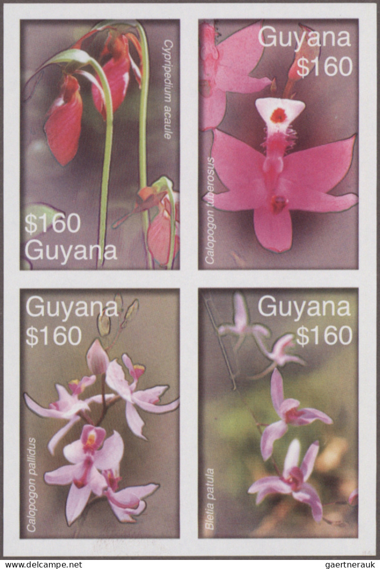 Guyana: 2000/2010. Collection containing 1091 IMPERFORATE stamps and 8 IMPERFORA